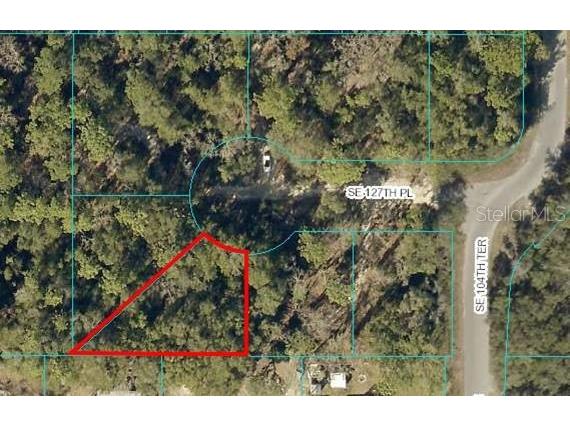Lot 22 SE 127th Place Belleview FL 34420 OM646672 image1