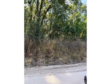 Lot 22 SE 130th Place Belleview FL 34420 OM713198 image3