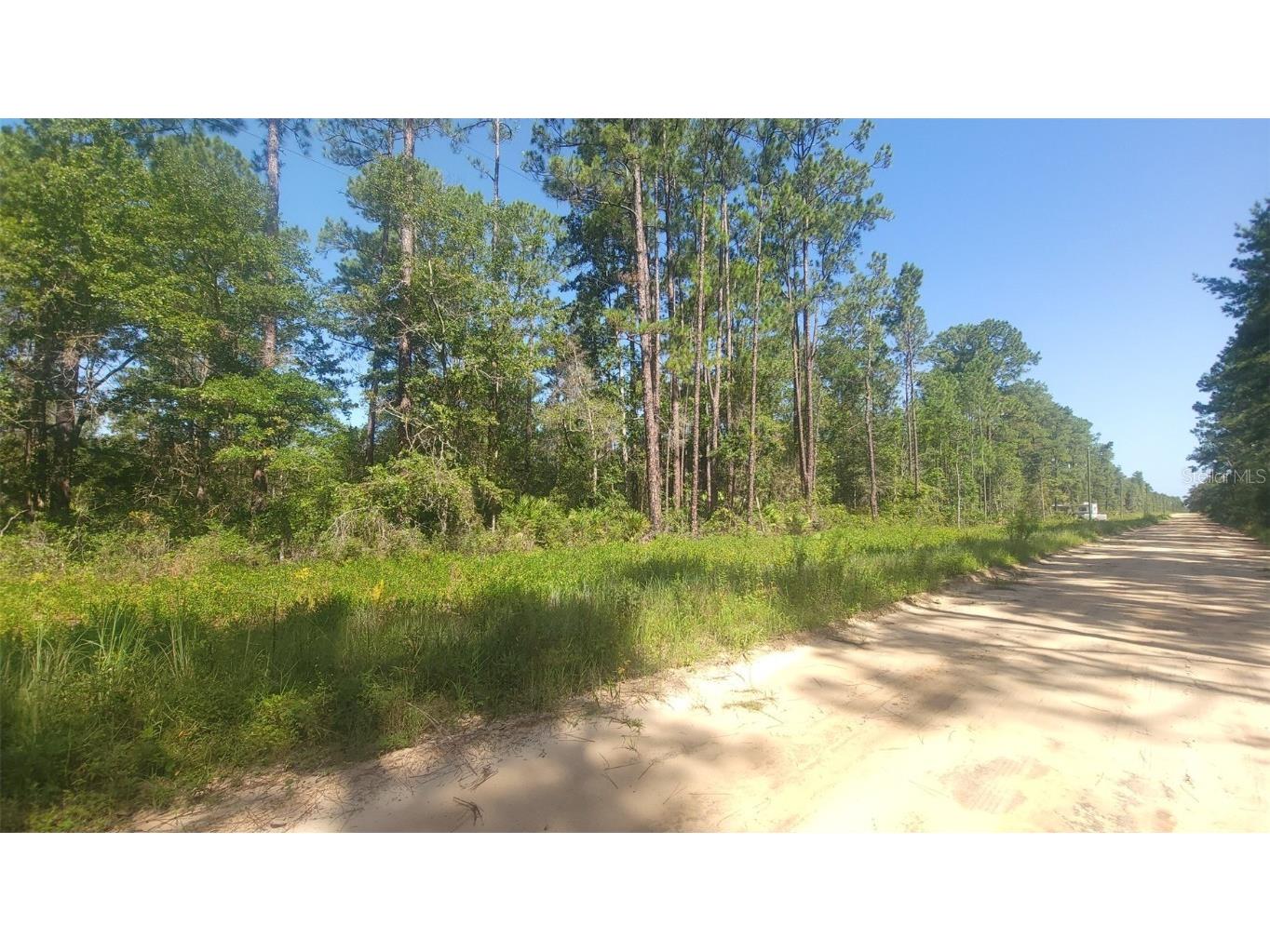 Lot 22 Selma Avenue Interlachen FL 32148 OM683126 image1