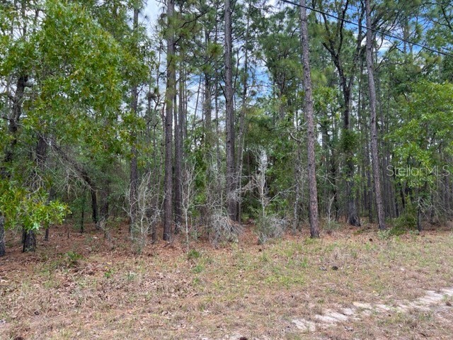 Lot 22 SW 137 Street Ocala FL 34473 OM656306 image1