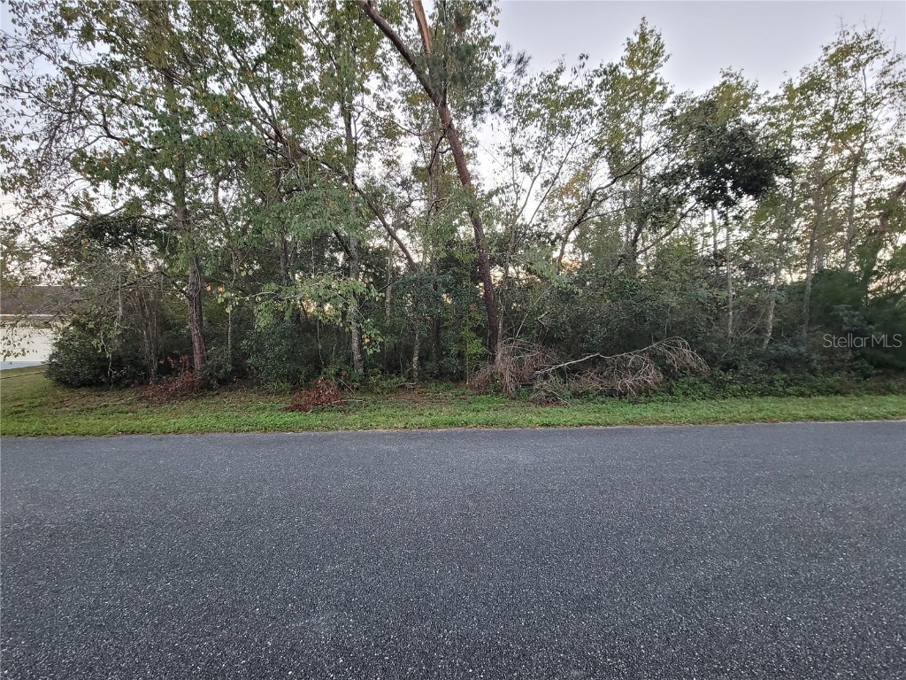 Lot 22 SW 156th Loop Ocala FL 34473 OM689663 image1