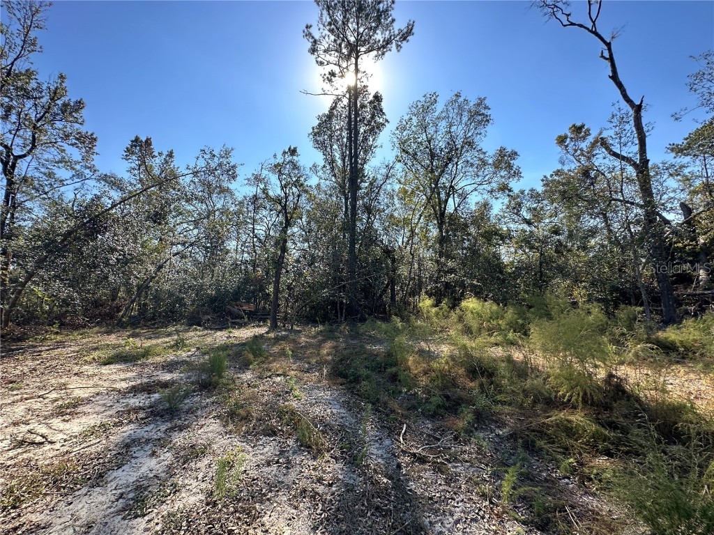 Lot 22 SW 77th Blvd Jasper FL 32052 - WITHLACOOCHE RIVER GC517522 image1
