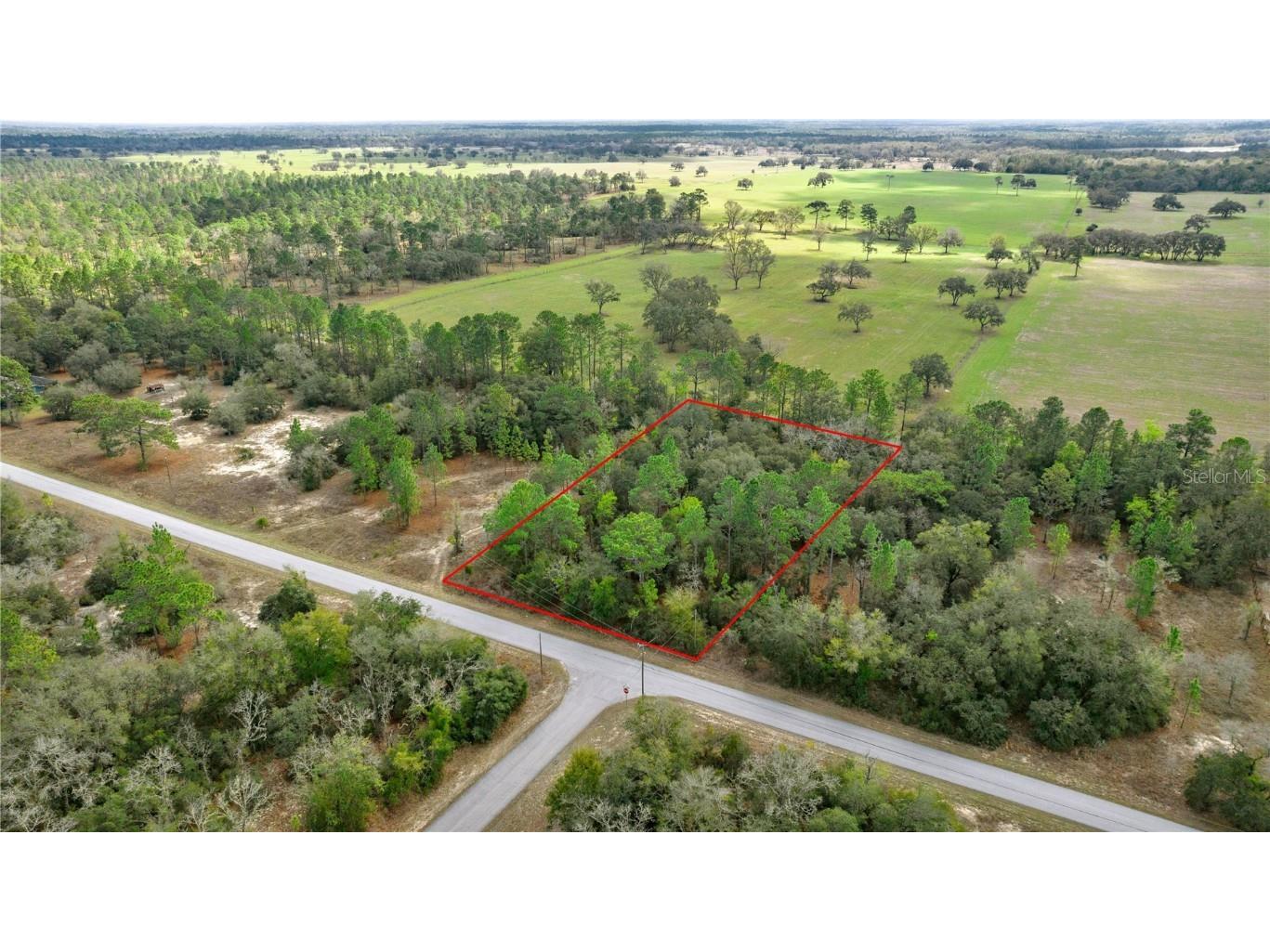 Lot 22 SW Tiger Lake Boulevard Dunnellon FL 34431 OM695822 image1