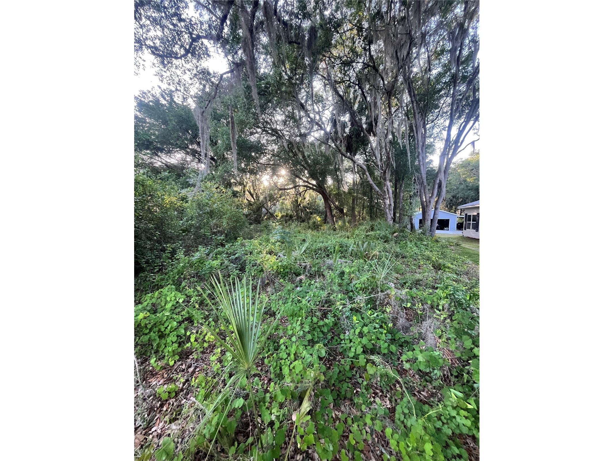 Lot 221 Ashley Street Hawthorne FL 32640 GC536922 image12
