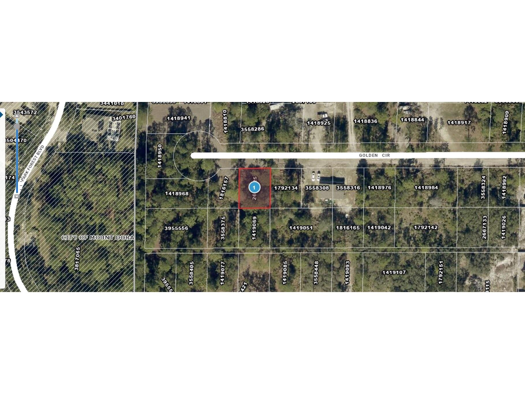 Lot 228 Park Forest Blvd Mount Dora FL 32757 G5110704 image1