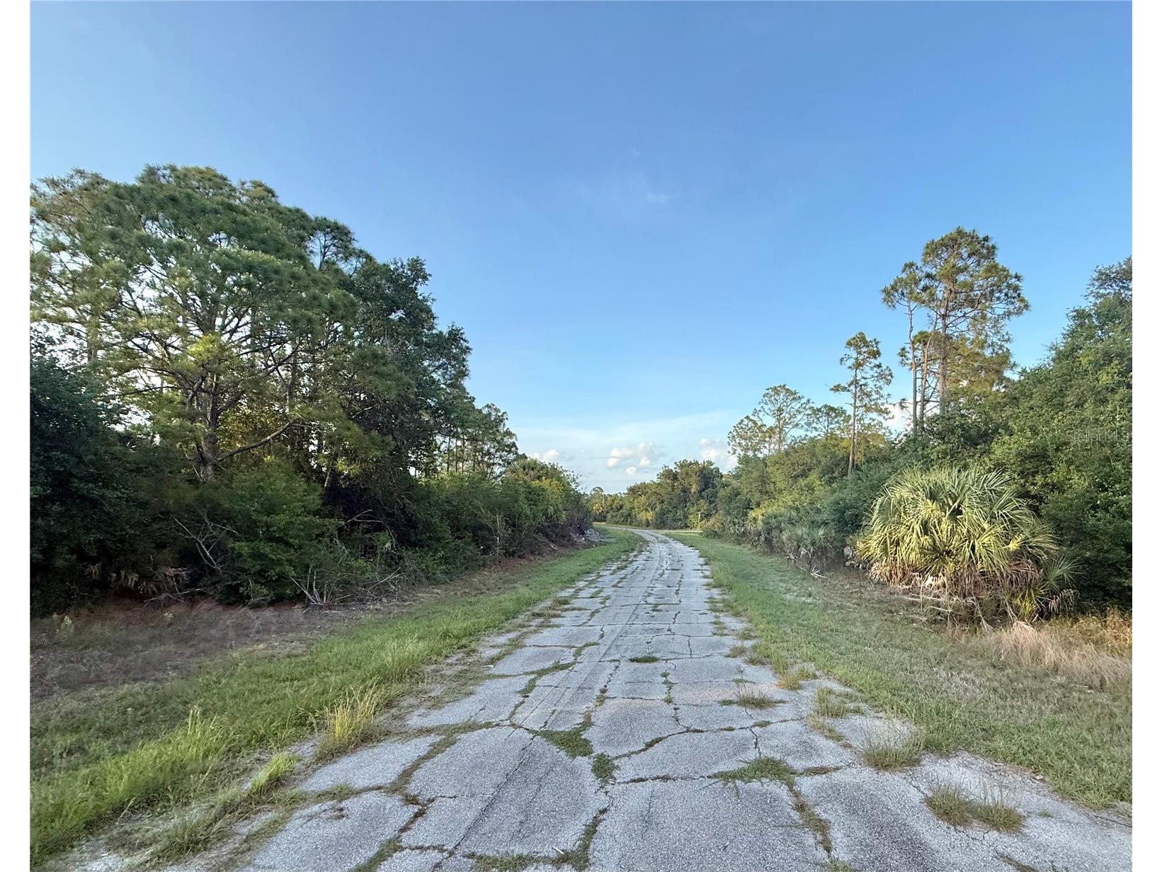 Lot 23 Hinshaw Avenue North Port FL 34288 C7526587 image3