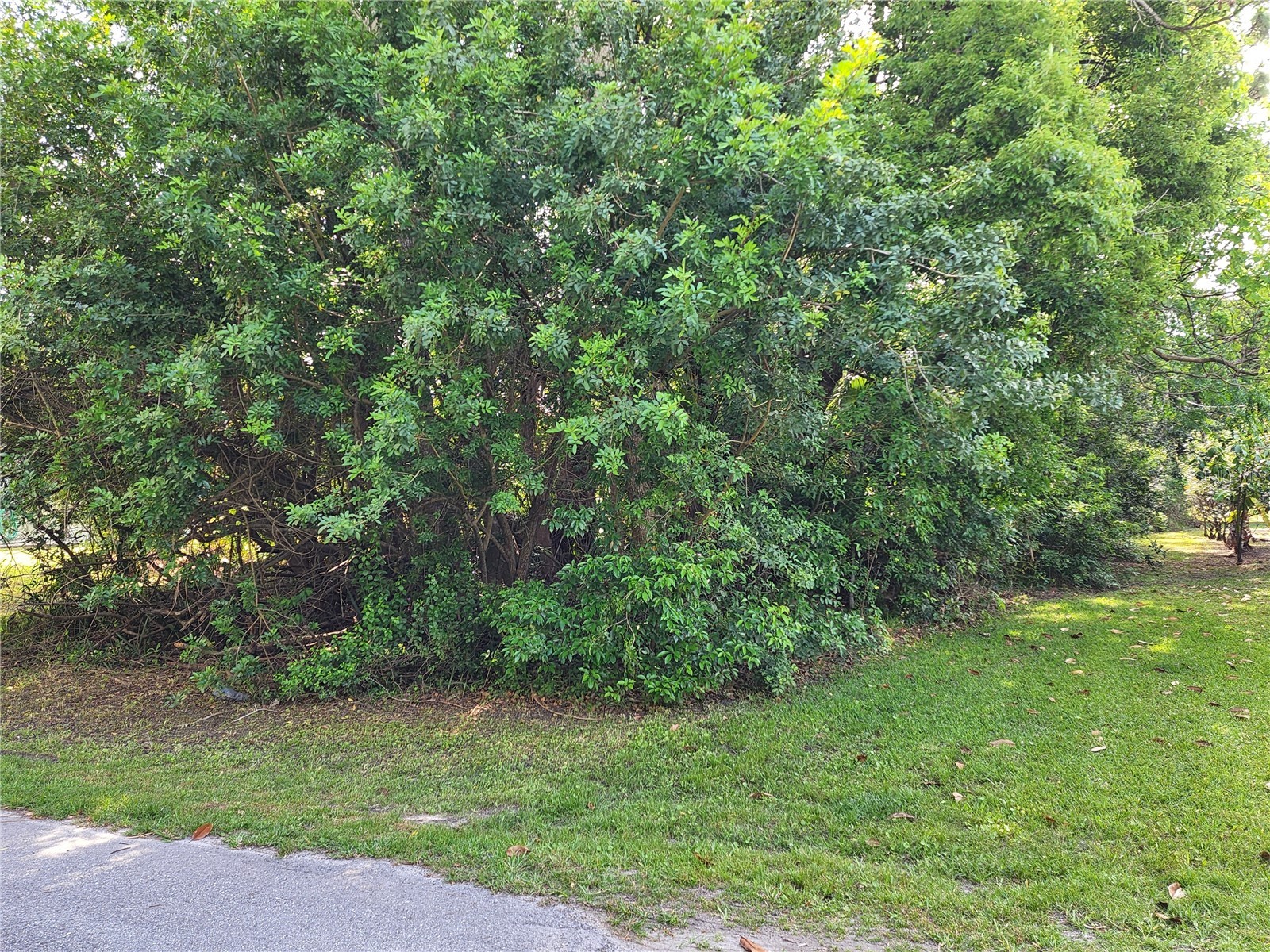 Lot 23 Lyle Circle Hudson FL 34667 W7845250 image2