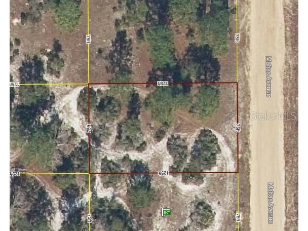 Lot 23 Maltas Avenue Interlachen FL 32148 OM687296 image1
