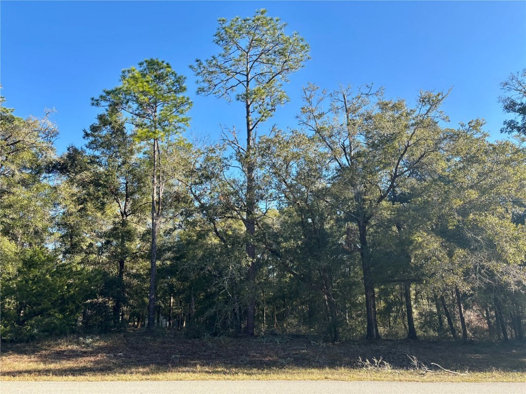 Lot 23 SW 102 Street Road Dunnellon FL 34431 - RAINBOW RIVER OM692165 image2