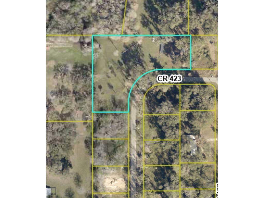Lot 24-28 Cr 423 Lake Panasoffkee FL 33538 J992011 image1