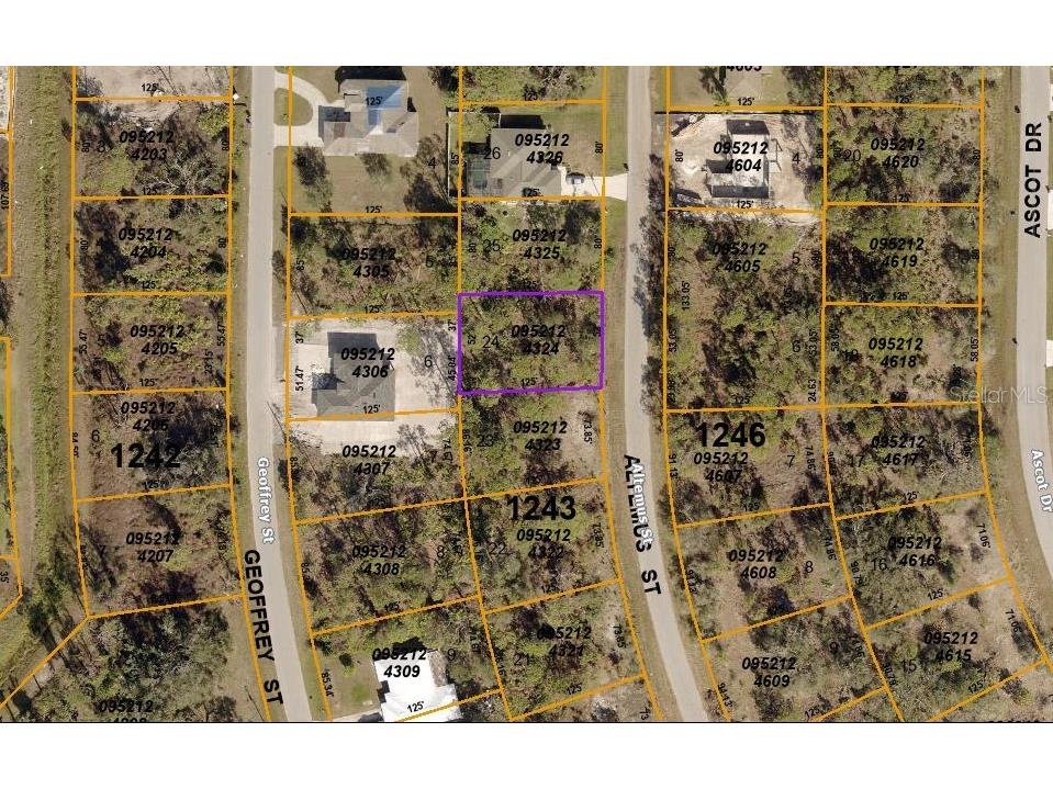 Lot 24 Altemus Street North Port FL 34291 C7488070 image1