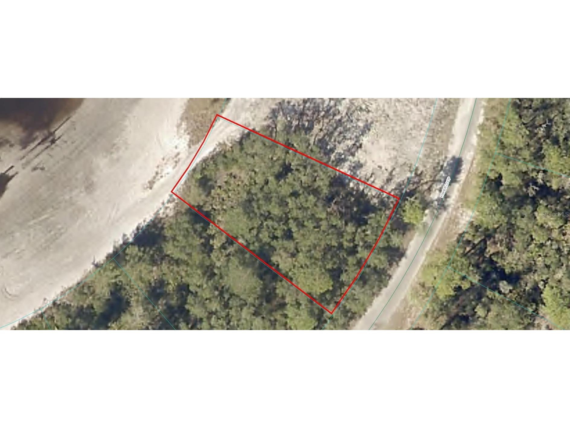 Lot 24 Fisher Loop Ocklawaha FL 32179 - LAKE GARNET OM697493 image1