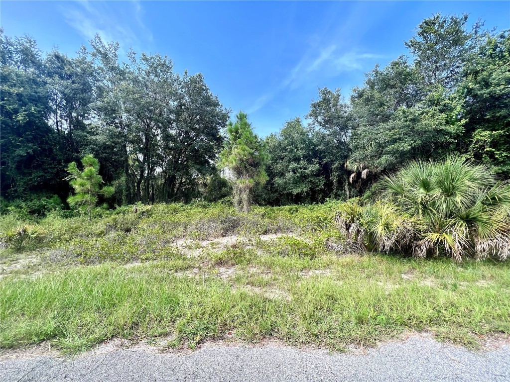 Lot 24 Hampshire Circle North Port FL 34288 C7489190 image1