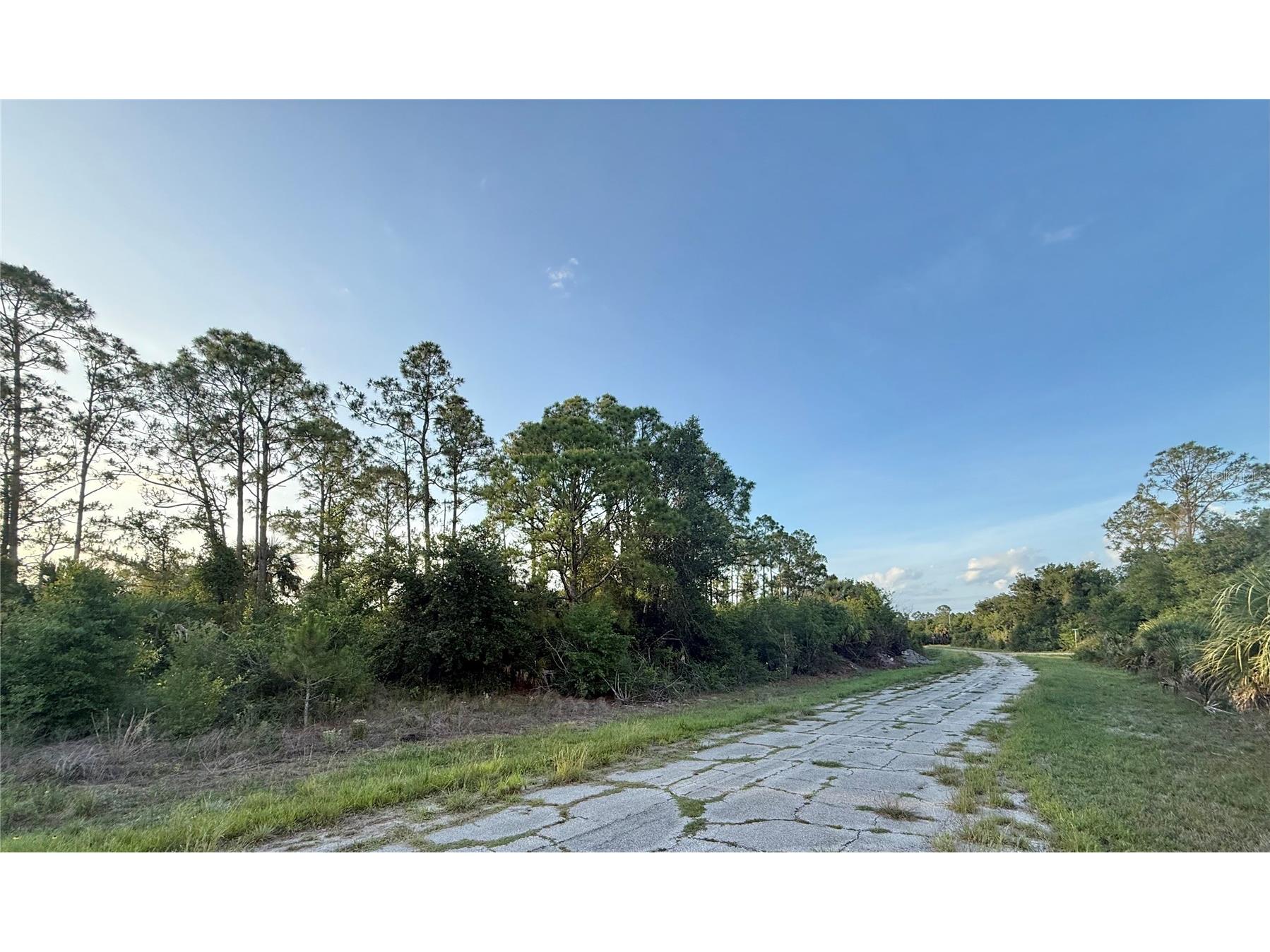 Lot 24 Hinshaw Avenue North Port FL 34288 C7526590 image3