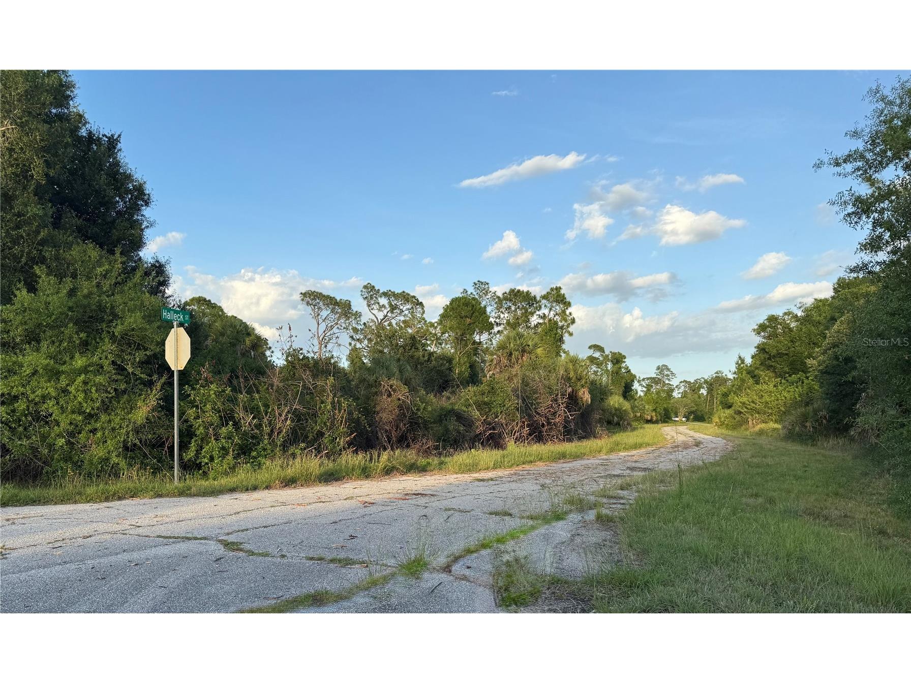 Lot 24 Hinshaw Avenue North Port FL 34288 C7526590 image5
