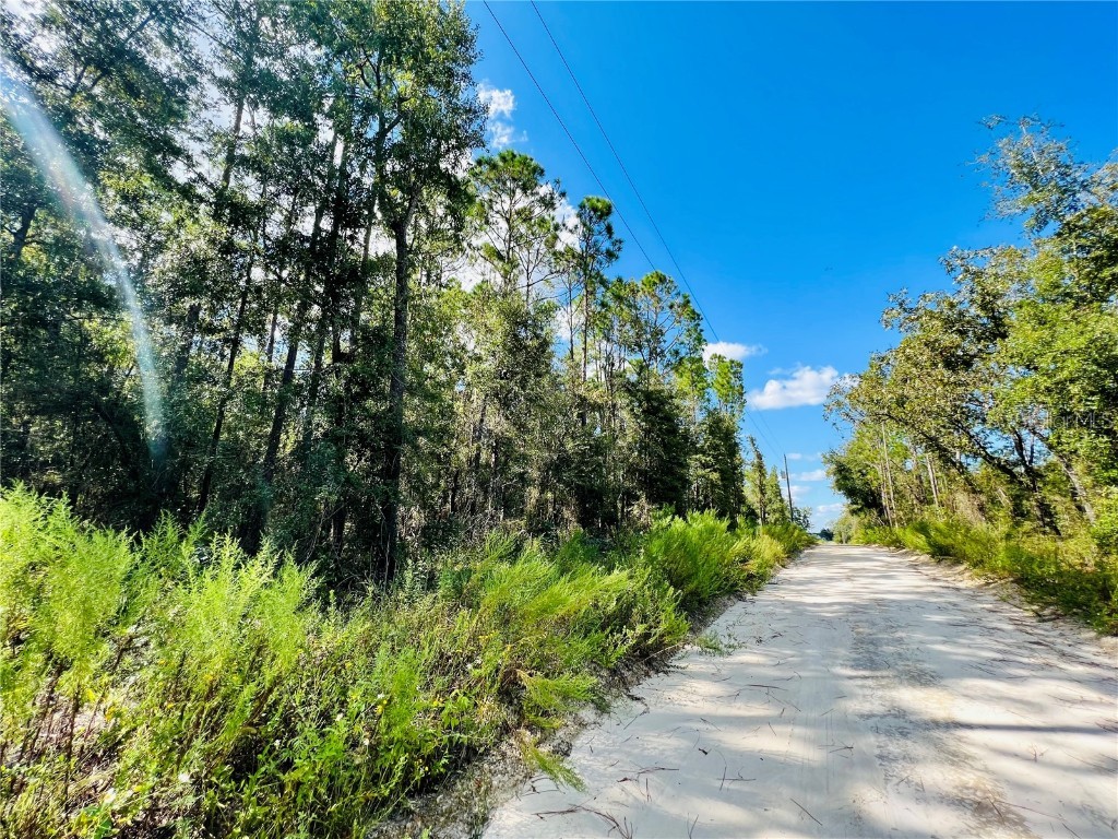 Lot 24 NW 30th Avenue Bell FL 32619 GC508531 image1