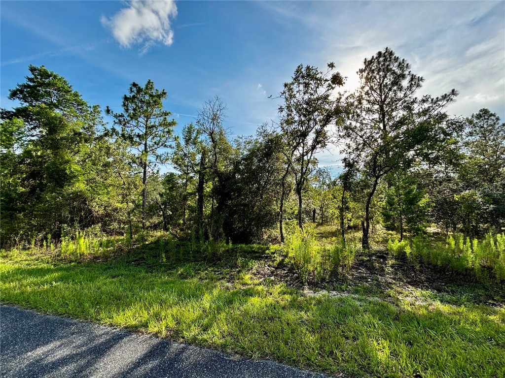 Lot 24 SE 136 Terrace Dunnellon FL 34431 OM705145 image1