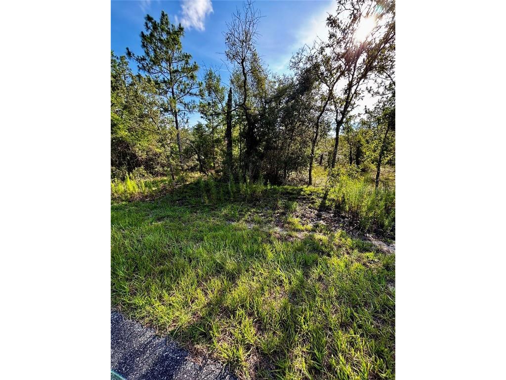 Lot 24 SE 136 Terrace Dunnellon FL 34431 OM705145 image2