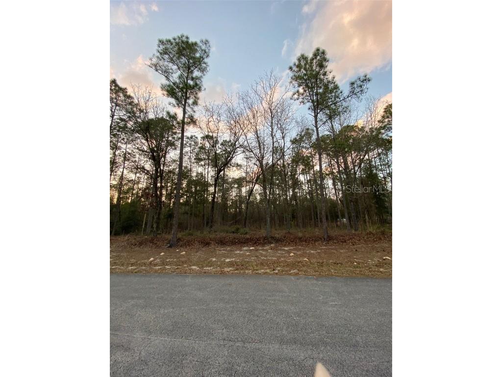 Lot 24 SW 90th Loop Dunnellon FL 34431 OM650016 image1