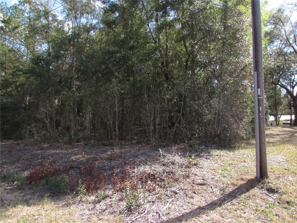 Lot 24 SW Starling Drive Dunnellon FL 34431 OM695490 image1