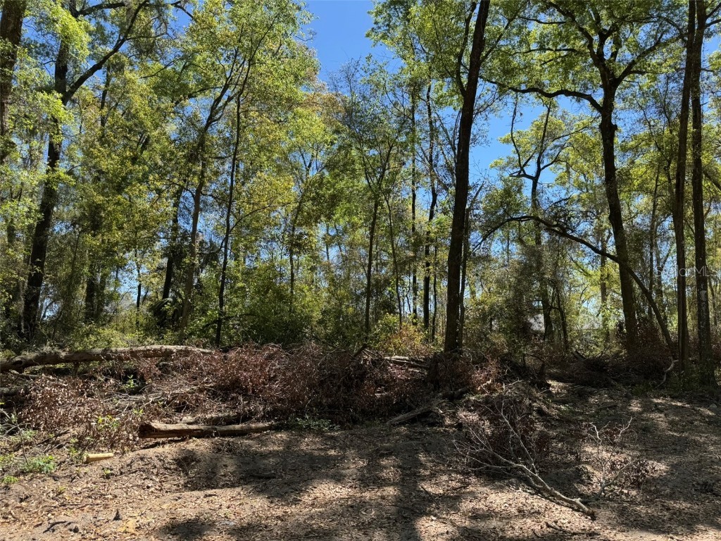 Lot 2526 SW 177th Court Dunnellon FL 34432 OM697891 image1