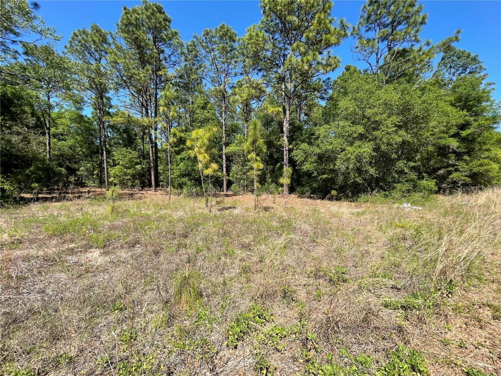 Lot 25 SW 21st Place Ocala FL 34481 OM699374 image1