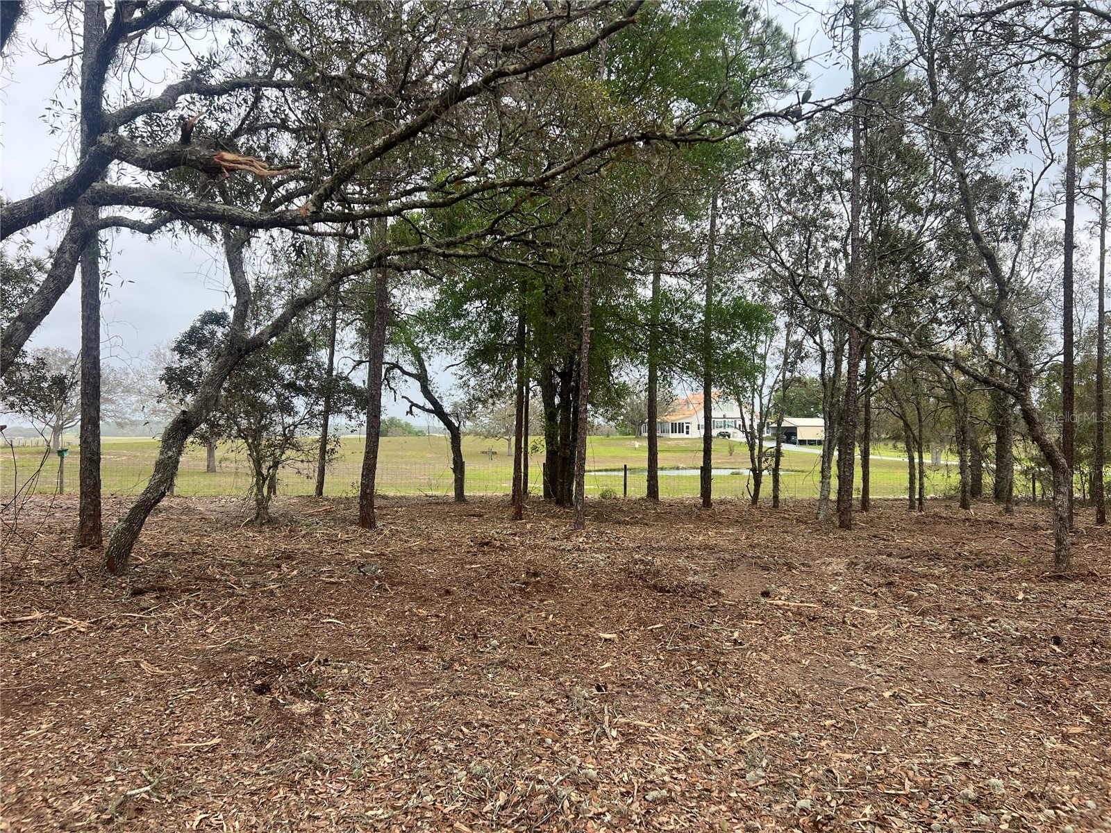 Lot 25 SW Timberlake Road Dunnellon FL 34431 OM721362 image1