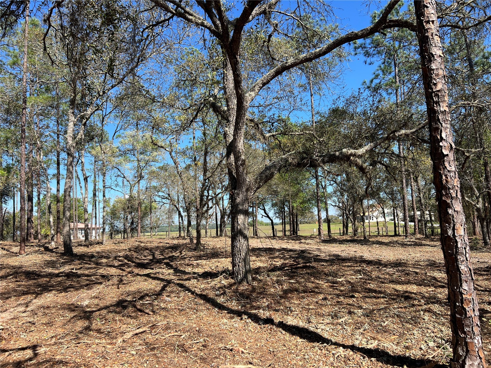 Lot 25 SW Timberlake Road Dunnellon FL 34431 OM721362 image10