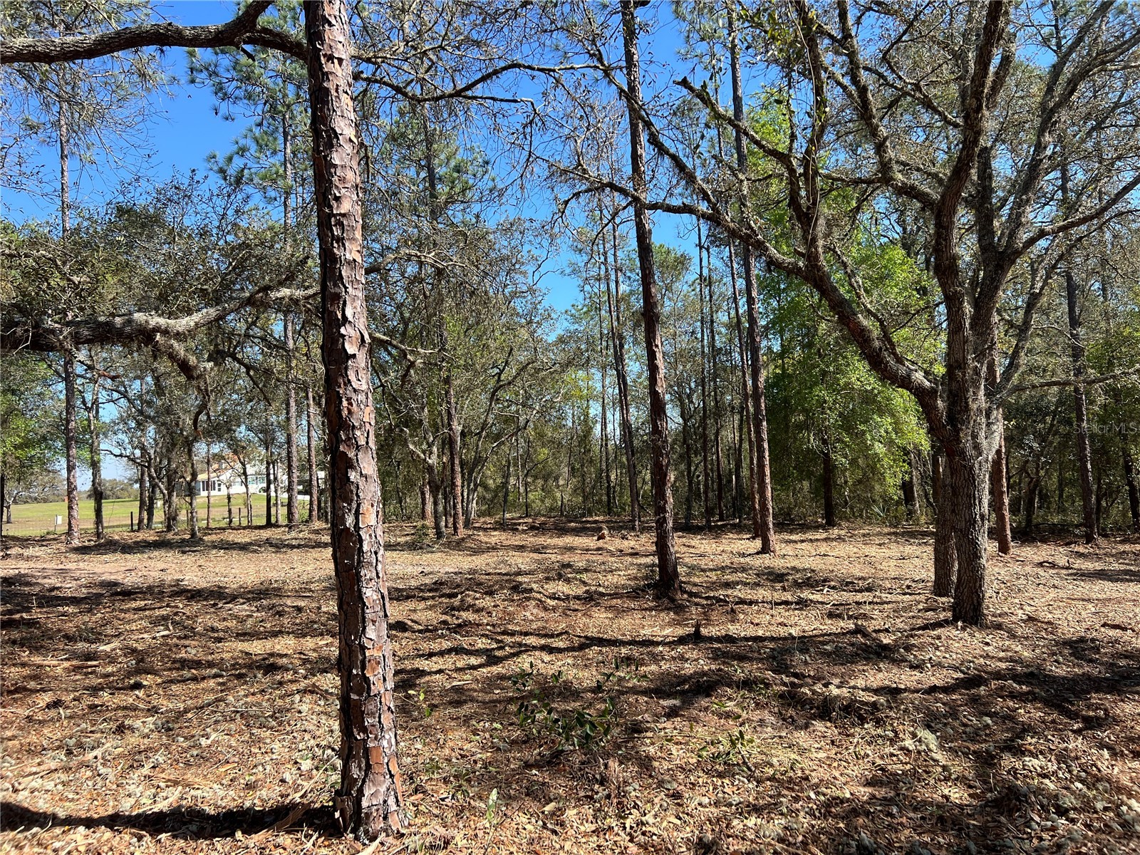 Lot 25 SW Timberlake Road Dunnellon FL 34431 OM721362 image11