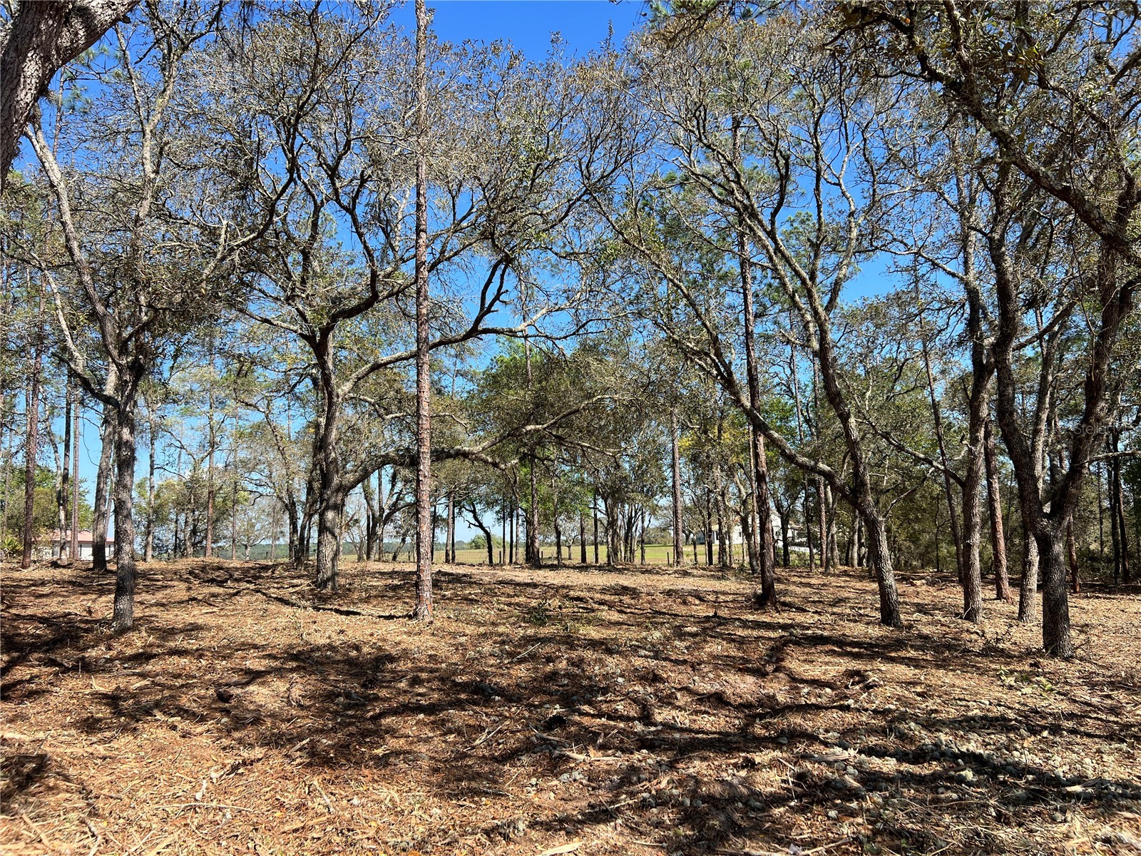 Lot 25 SW Timberlake Road Dunnellon FL 34431 OM721362 image12