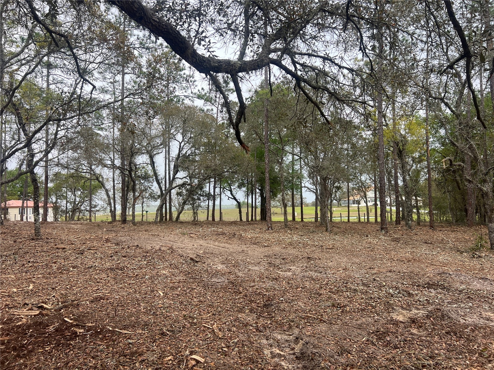 Lot 25 SW Timberlake Road Dunnellon FL 34431 OM721362 image13