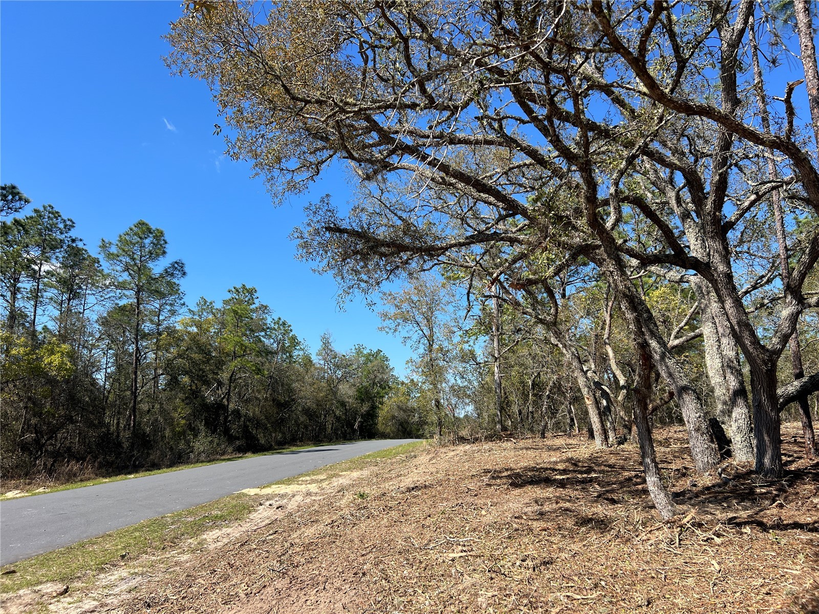 Lot 25 SW Timberlake Road Dunnellon FL 34431 OM721362 image15