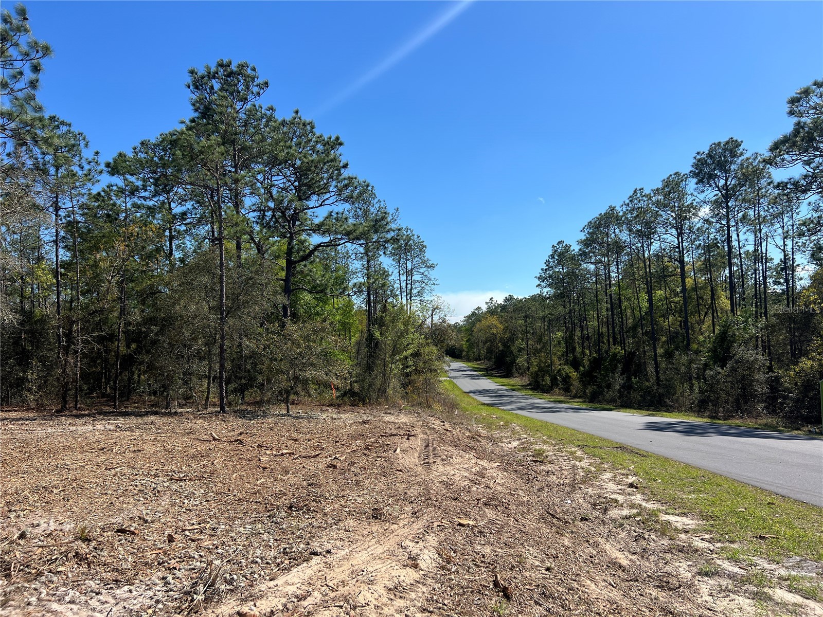 Lot 25 SW Timberlake Road Dunnellon FL 34431 OM721362 image16