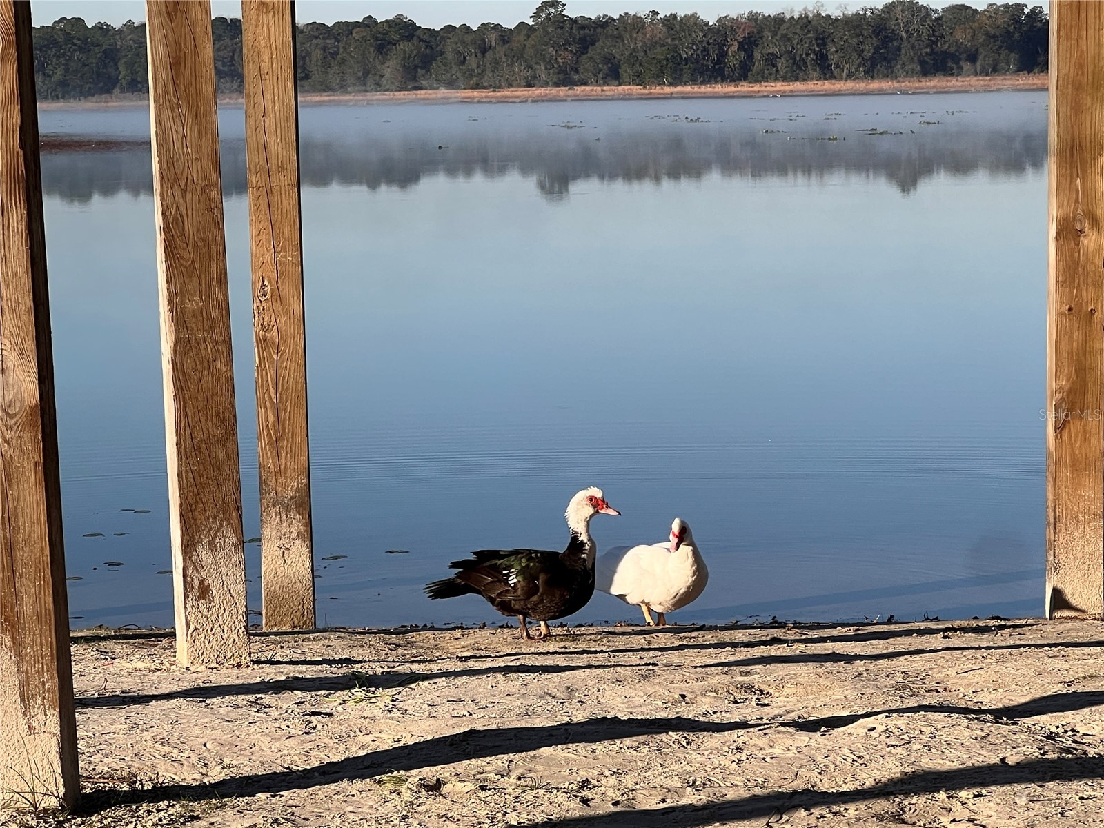 Lot 25 SW Timberlake Road Dunnellon FL 34431 OM721362 image23