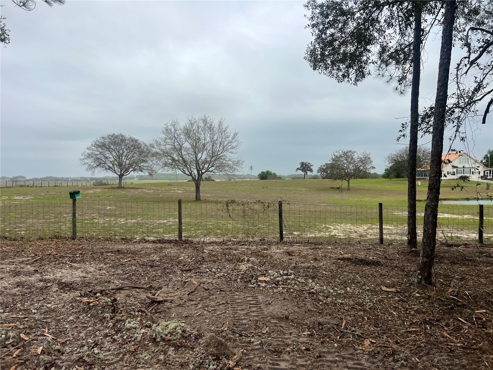 Lot 25 SW Timberlake Road Dunnellon FL 34431 OM721362 image3