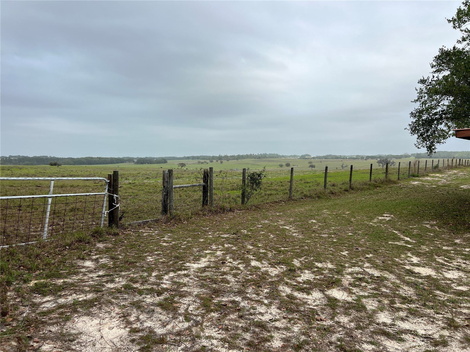 Lot 25 SW Timberlake Road Dunnellon FL 34431 OM721362 image5