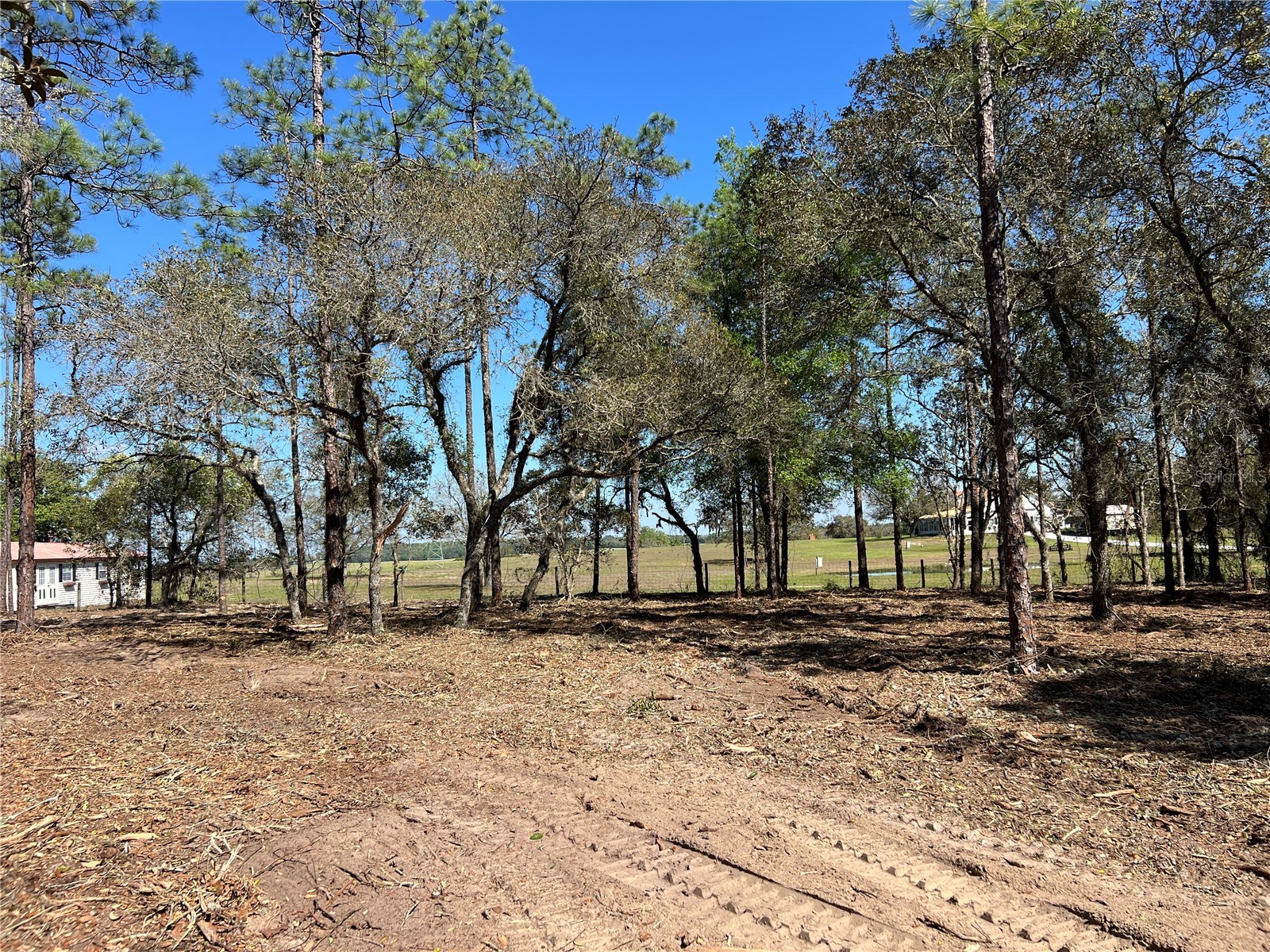 Lot 25 SW Timberlake Road Dunnellon FL 34431 OM721362 image8