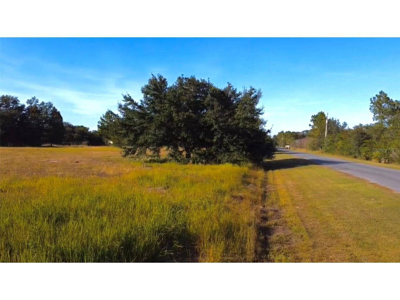 Lot 250 Peabody Street Orlando FL 32833 O6363381 image7