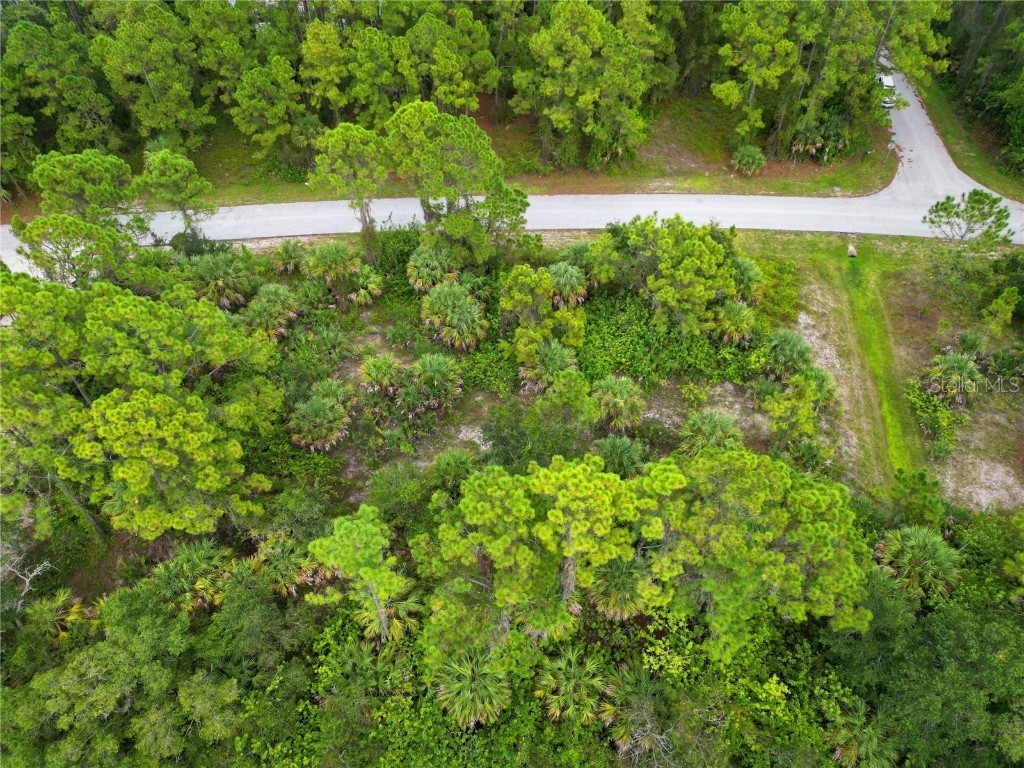 Lot 26 & 27 Hagerick Lane North Port FL 34288 A4562966 image1