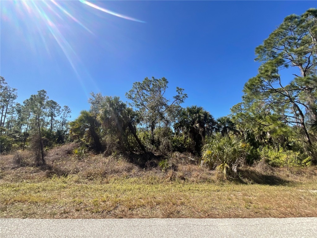 Lot 26 & 27 Hagerick Lane North Port FL 34288 C7487582 image1