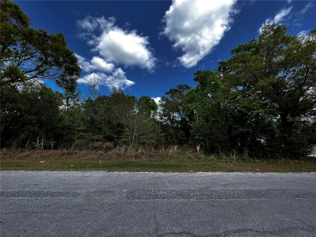 Lot 27&28 Timuquana Drive Mount Plymouth FL 32776 V4935339 image1