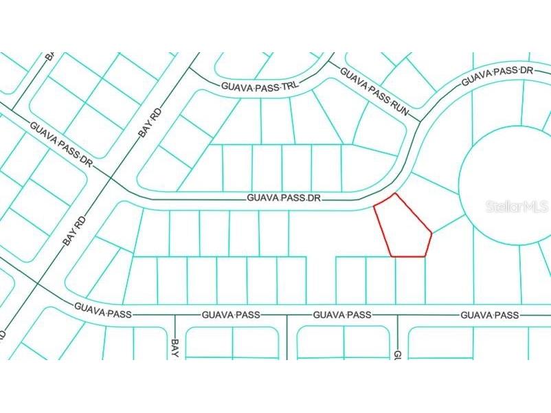 Lot 26 Guava Pass Drive Ocklawaha FL 32179 OM715567 image1