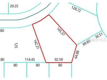 Lot 26 Guava Pass Drive Ocklawaha FL 32179 OM715567 image2