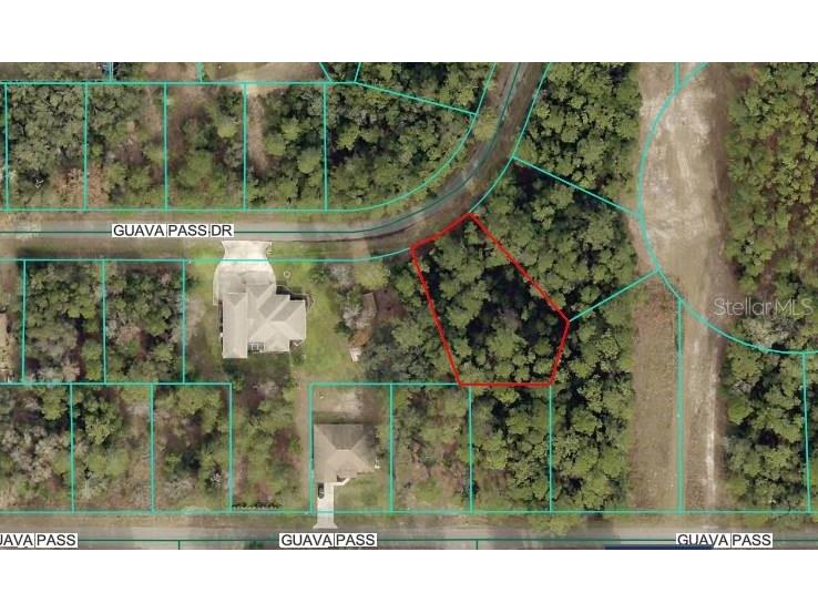 Lot 26 Guava Pass Drive Ocklawaha FL 32179 OM715567 image3