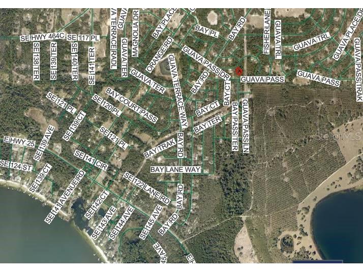 Lot 26 Guava Pass Drive Ocklawaha FL 32179 OM715567 image5