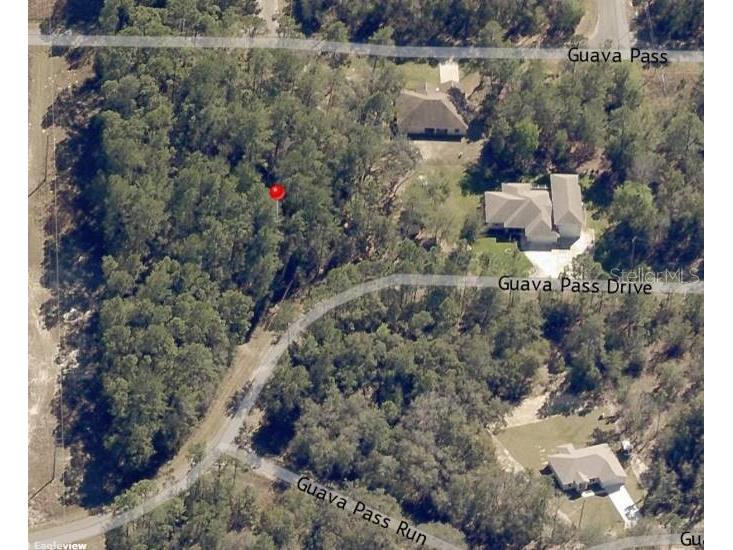 Lot 26 Guava Pass Drive Ocklawaha FL 32179 OM715567 image6