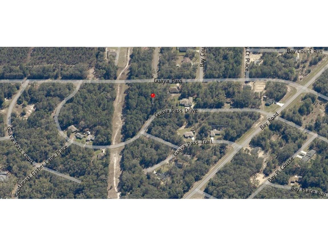 Lot 26 Guava Pass Drive Ocklawaha FL 32179 OM715567 image7