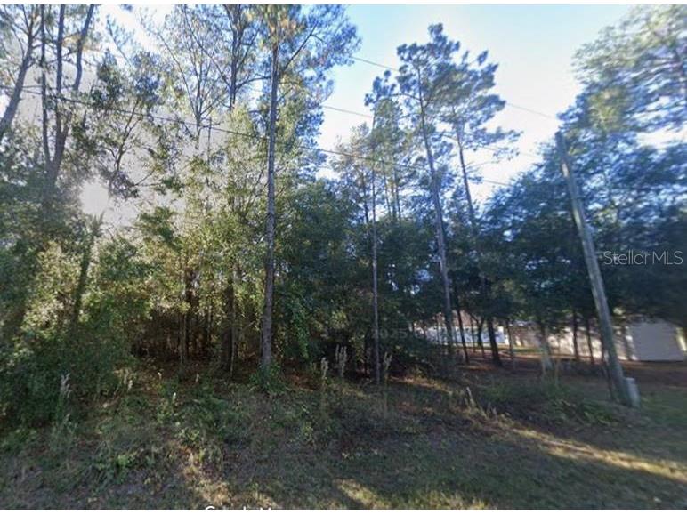 Lot 26 Guava Pass Drive Ocklawaha FL 32179 OM715567 image8