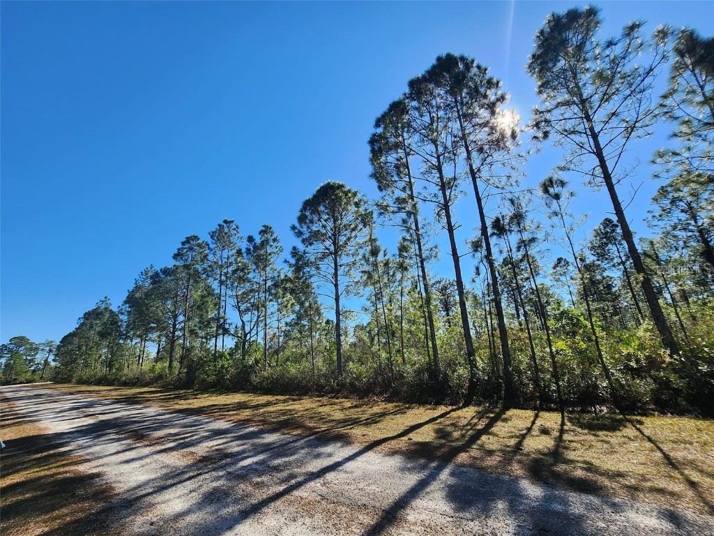 Lot 26 Orlando Drive Lake Wales FL 33898 P4926897 image1