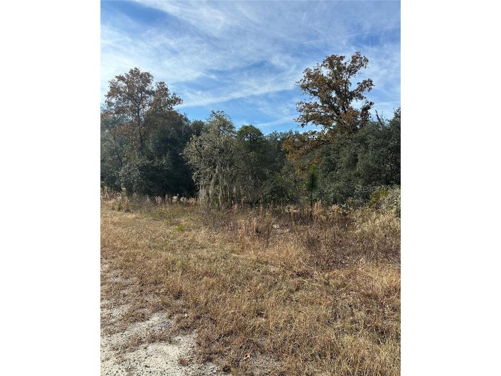 Lot 26 SE 133rd Avenue Dunnellon FL 34434 TB8450500 image1